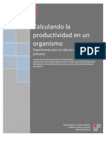 Calculando La Productividad en Un Organismo