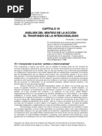 Analisis Del Sentido de La Accion