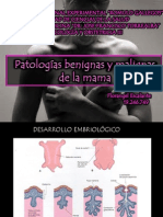 CA Ductal Mama, Anatomia, Tipos