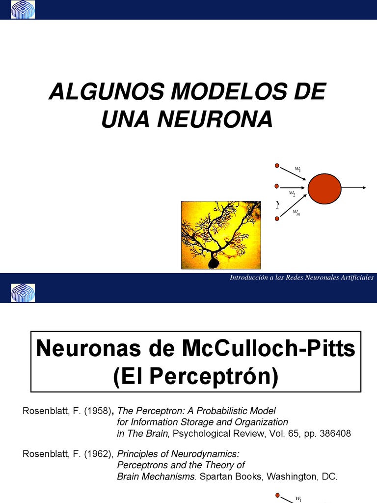 Introducción al Perceptrón en Redes Neuronales | PDF | Red neuronal ...
