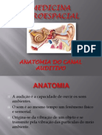Anatomia Do Ouvido