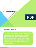 Accidente Ofidico