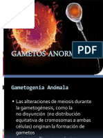 GAMETOS ANORMALES