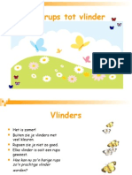 ICT - Presentatie Vlinder