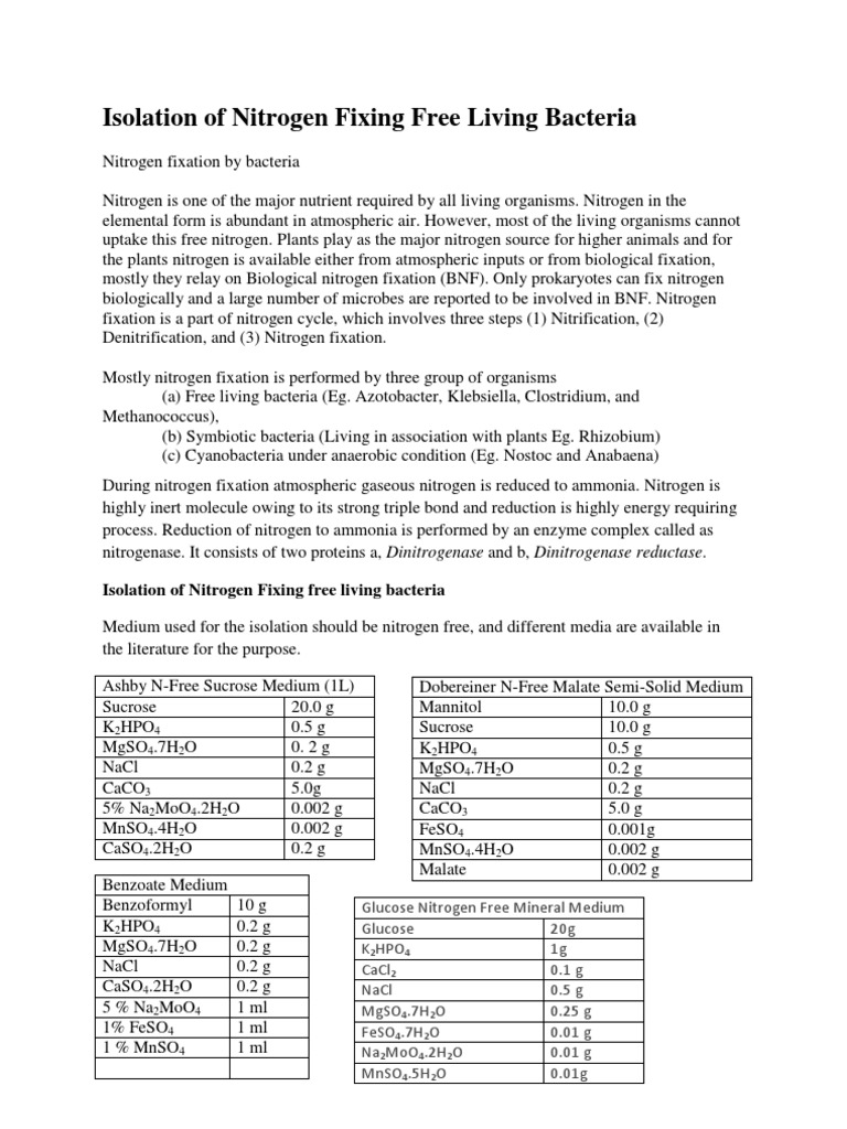 Isolation of Free Living Nitrogen Fixers | PDF | Nitrogen | Bacteria