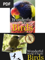 Download The Wonderful World of Exotic Birds by ZlatkoZ2009 SN163056470 doc pdf
