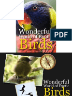 The Wonderful World of Exotic Birds