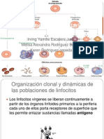 Respuesta Inmunitaria