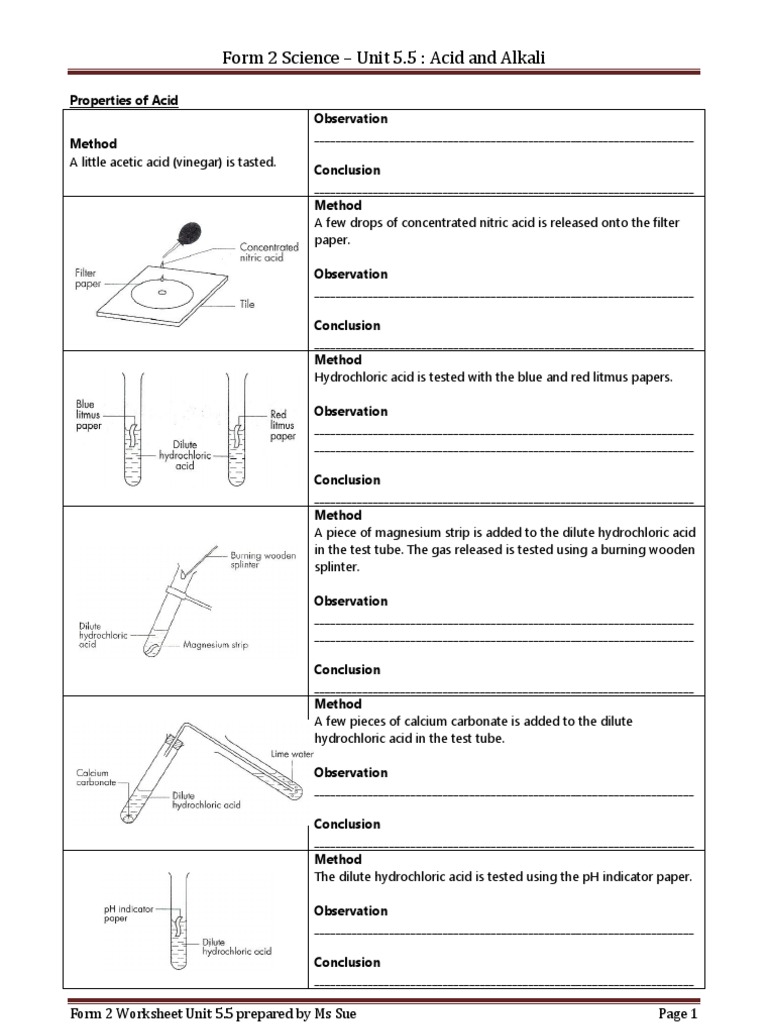 Acids and Bases Lab Experiments Guide for Students | PDF