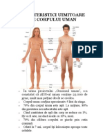 Caracteristici Uimitoare Ale Corpului Uman