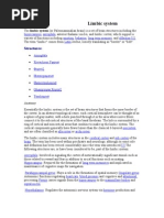 Download Limbic System by TAMIL SN16314893 doc pdf