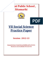 VII Social Science C.B.S.E. Practice Paper PDF