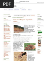 Crie Jardim_ Aula 01 - O que é solo.pdf