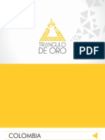 Brochure Triangulo de Oro