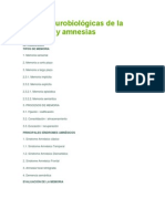 Bases neurobiológicas de la memoria y amnesias