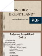 2553283 Informe Brundtland