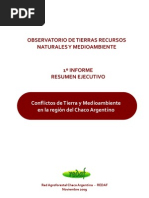 REDAF Conflictos Sobre La Tenencia de La Tierra y Ambientales en Chaco Arg