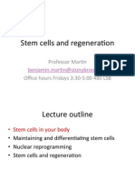 Stem Cells and Regeneration