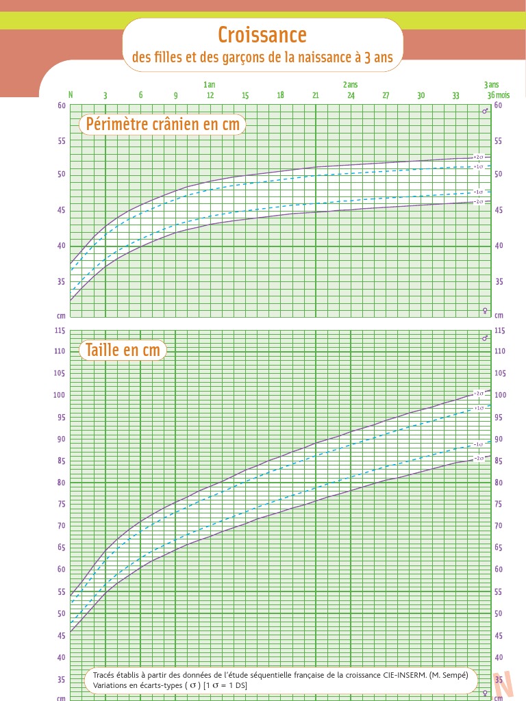 Courbe Perimetre Cranien Taille Pdf