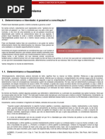 Liberdade e Determinismo