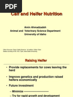 Calf and Heifer Nutrition Note
