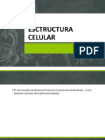 1 Esctructura Celular...