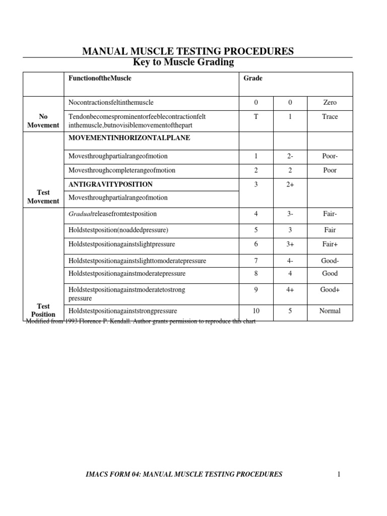 Muscle Grading and Testing Procedures | PDF | Anatomical Terms Of ...