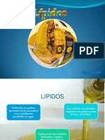 lipidos