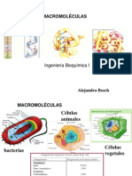 II Macromoleculas