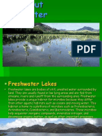 All About Freshwater