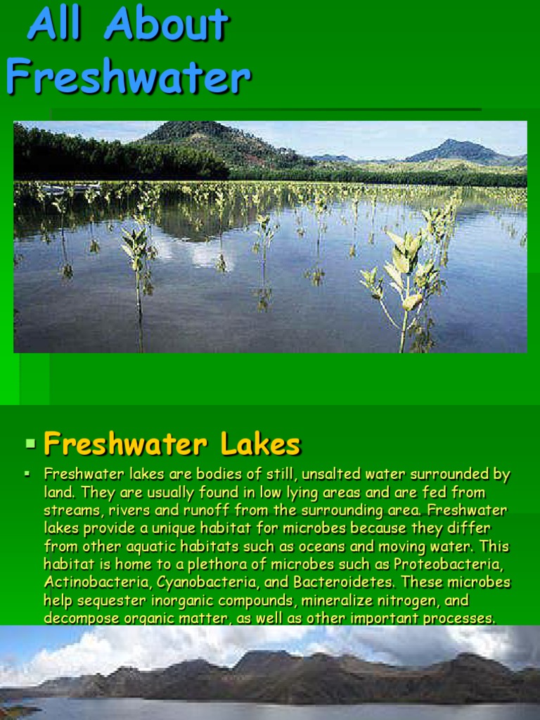 freshwater presentation