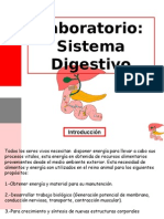 Laboratorio sistema digestivo