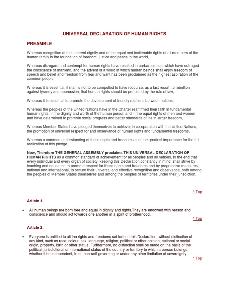 Universal Declaration of Human Rights | PDF | International Human ...