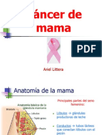 Cancer de Mama - Ariel Littera