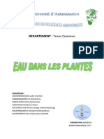 Eau Dans La Plante