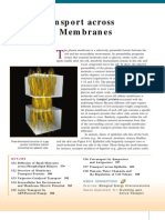 Download Transport Across Cell Membrane by Viswadeep Das SN163473905 doc pdf