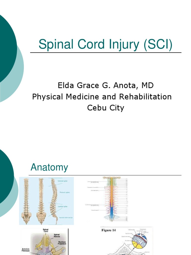 Understanding Spinal Cord Injury Causes and Management | PDF | Spinal ...