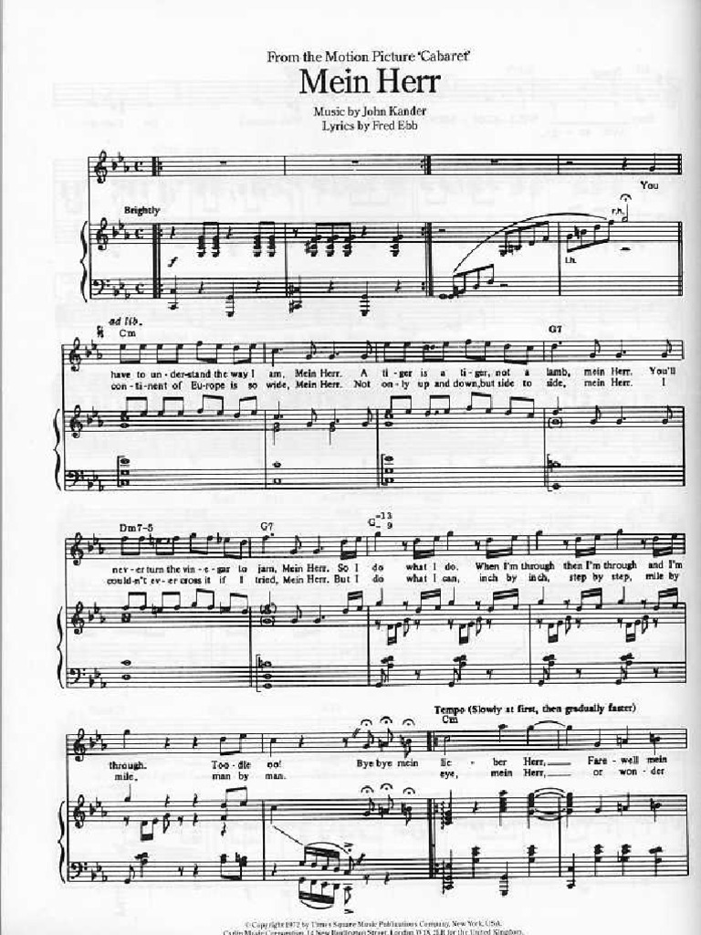 WHAT DOES MEIN HERR MEAN IN ENGLISH visual data 3