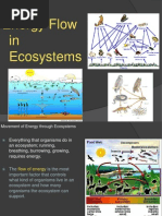 Energy Flow in Ecosystems