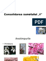 Corectarea Sunetului - R