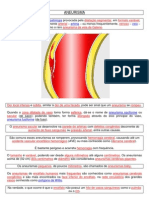 ANEURISMA CAPTANTE e NÃO CAPTANTE