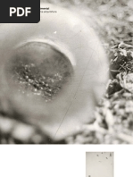 Caderno Tfg 1_Versao Online