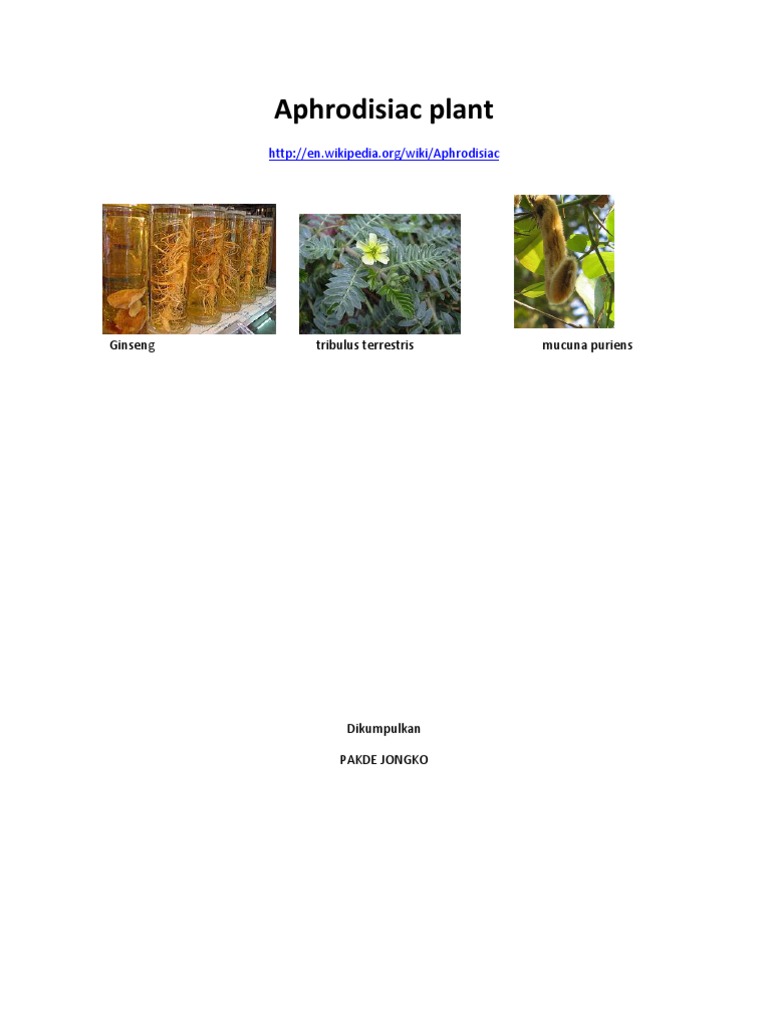 Aphrodisiac Plant Avocado Plants