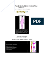 (Ebook - Med) Ortopedia - Anatomia Funzionale Dei Principali Muscoli