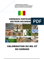 Valorisation Du Mil Et Du Sorgho