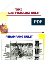Anatomi Dan Fisiologi Kulit
