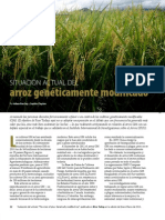 Rice Today Vol. 12 No. 1 Situacion Actual del Arroz Geneticamente Modificado