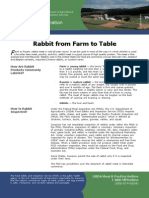 Rabbit From Farm to Table