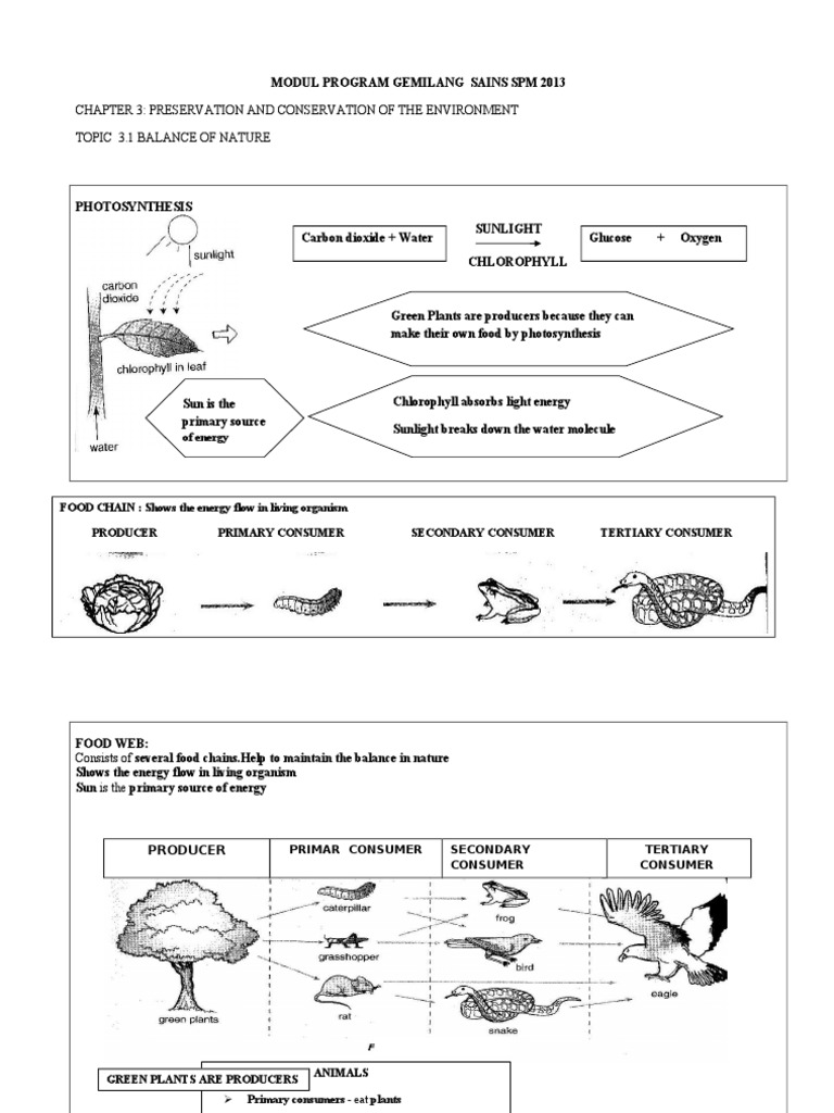 Chapter 3 Preservation and Conservation of Environment