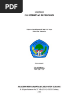 Download Makalah Isu Kesehatan Reproduksi by SOPANDI SN163641089 doc pdf